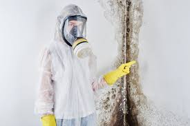 Best Emergency Mold Remediation in USA